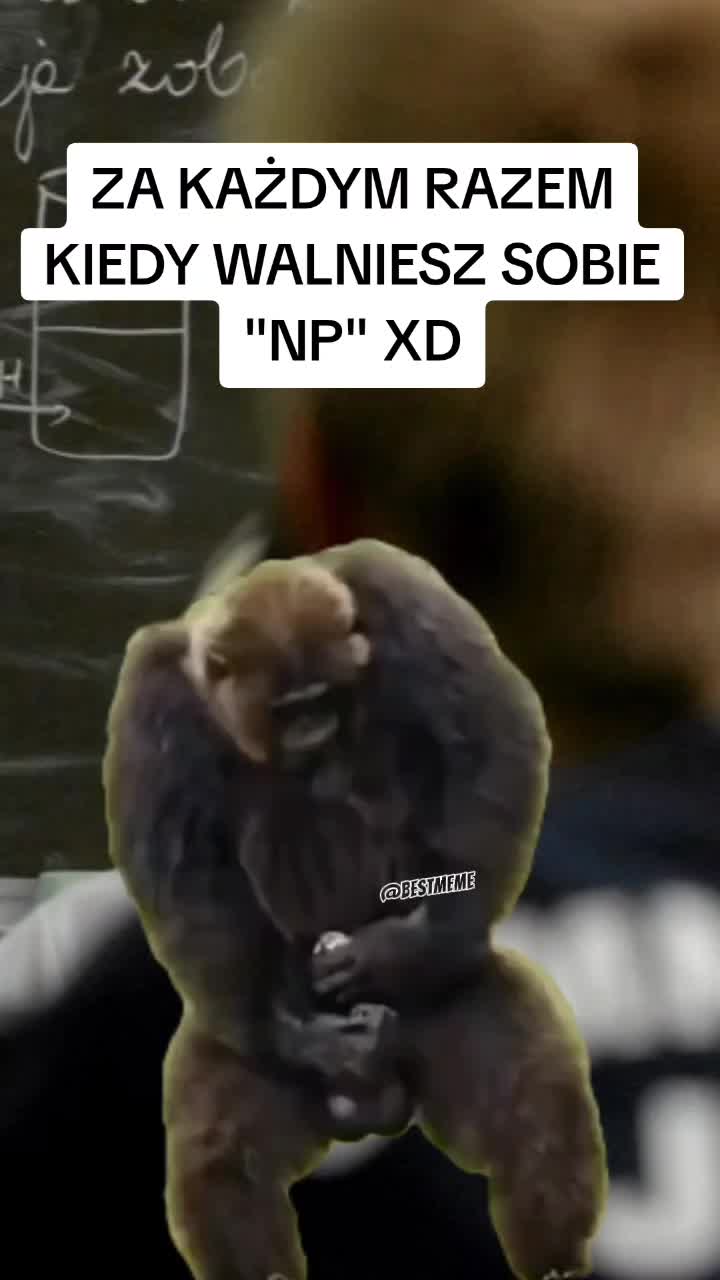 @KotWkapciachh