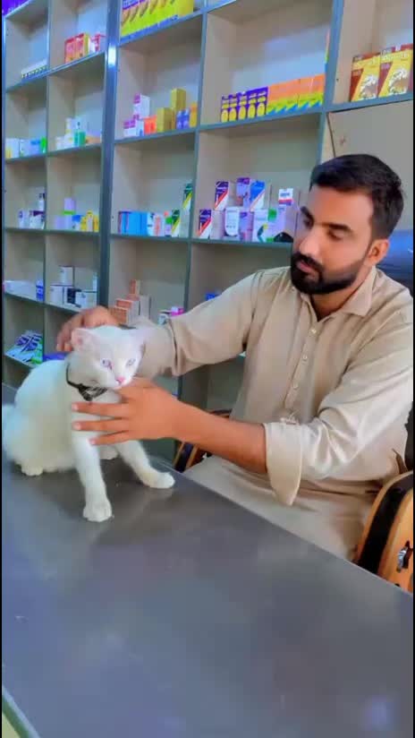 @❤️ویٹرنری ڈاکٹر ❤️
