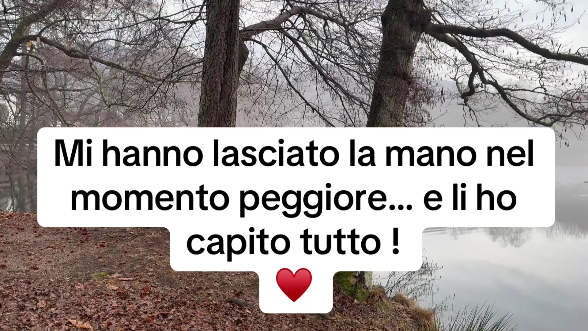 @Baby J.J ♥️