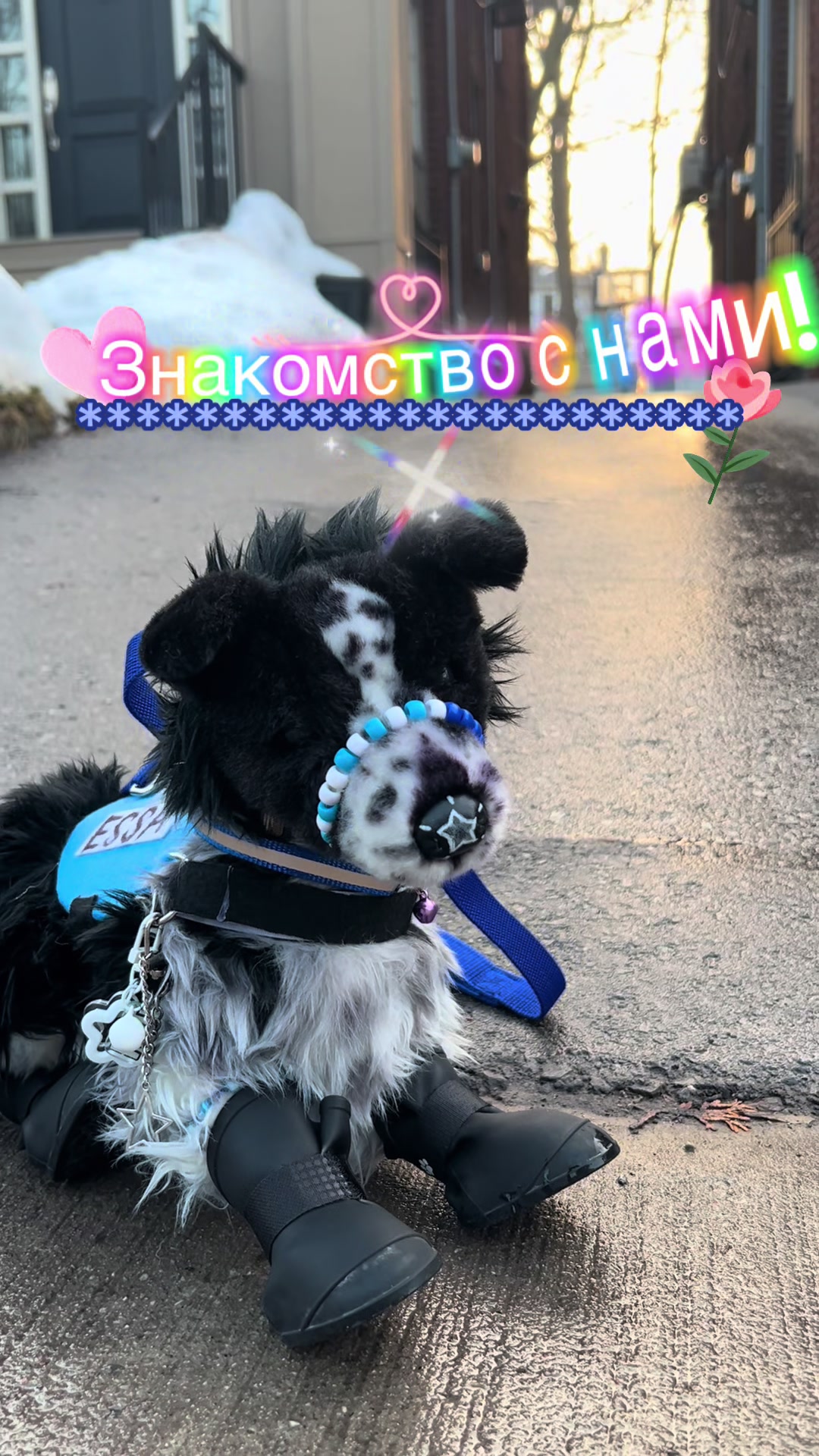 @🎈»𝔘𝔖𝔬𝔪𝔢𝔩_ESAS!⛓(Пдб)«🎂