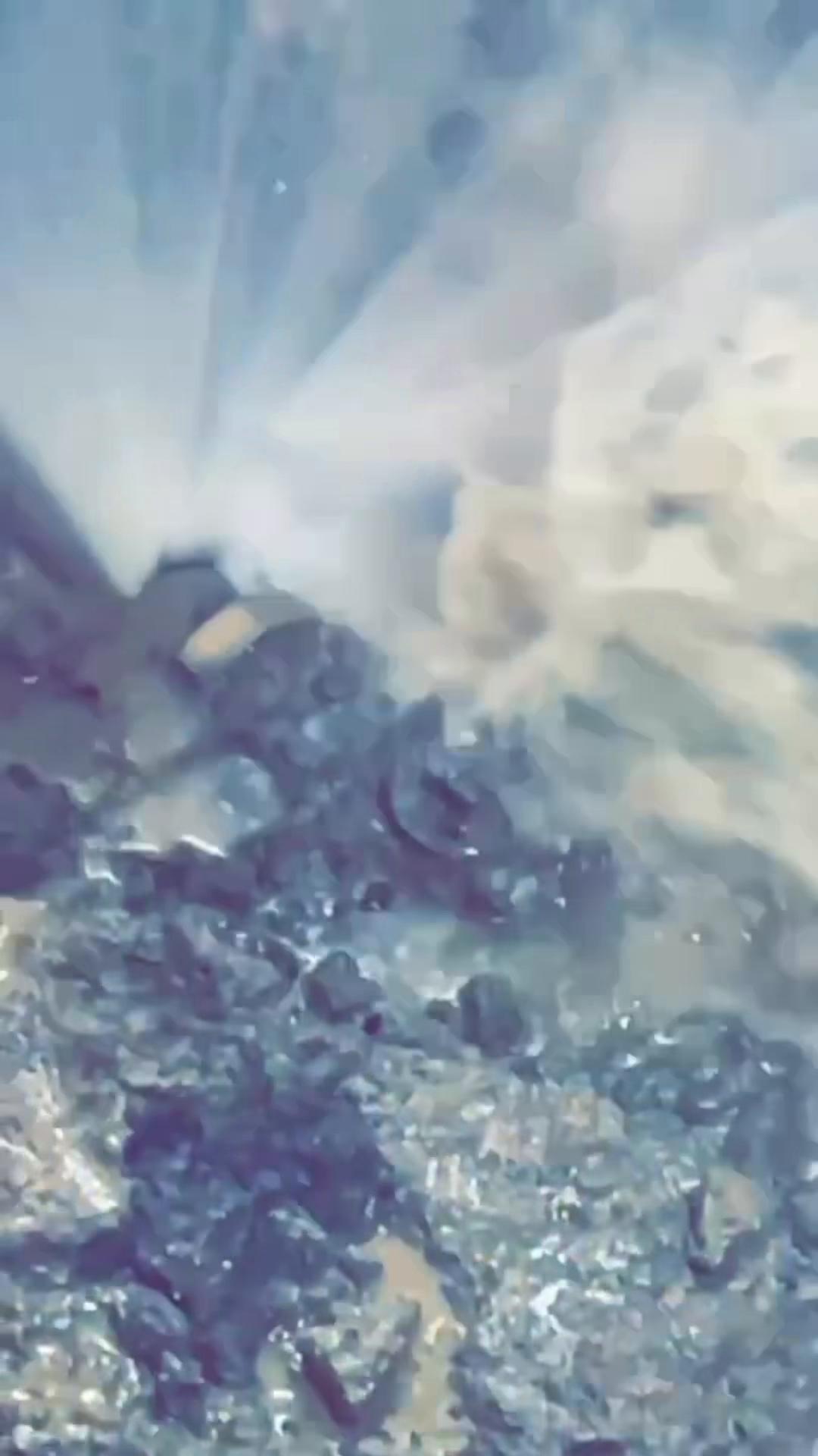 @SquiddlyAndCo