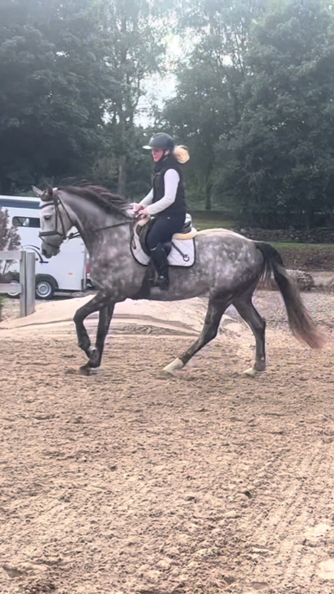 @ceciliekmikkelsen