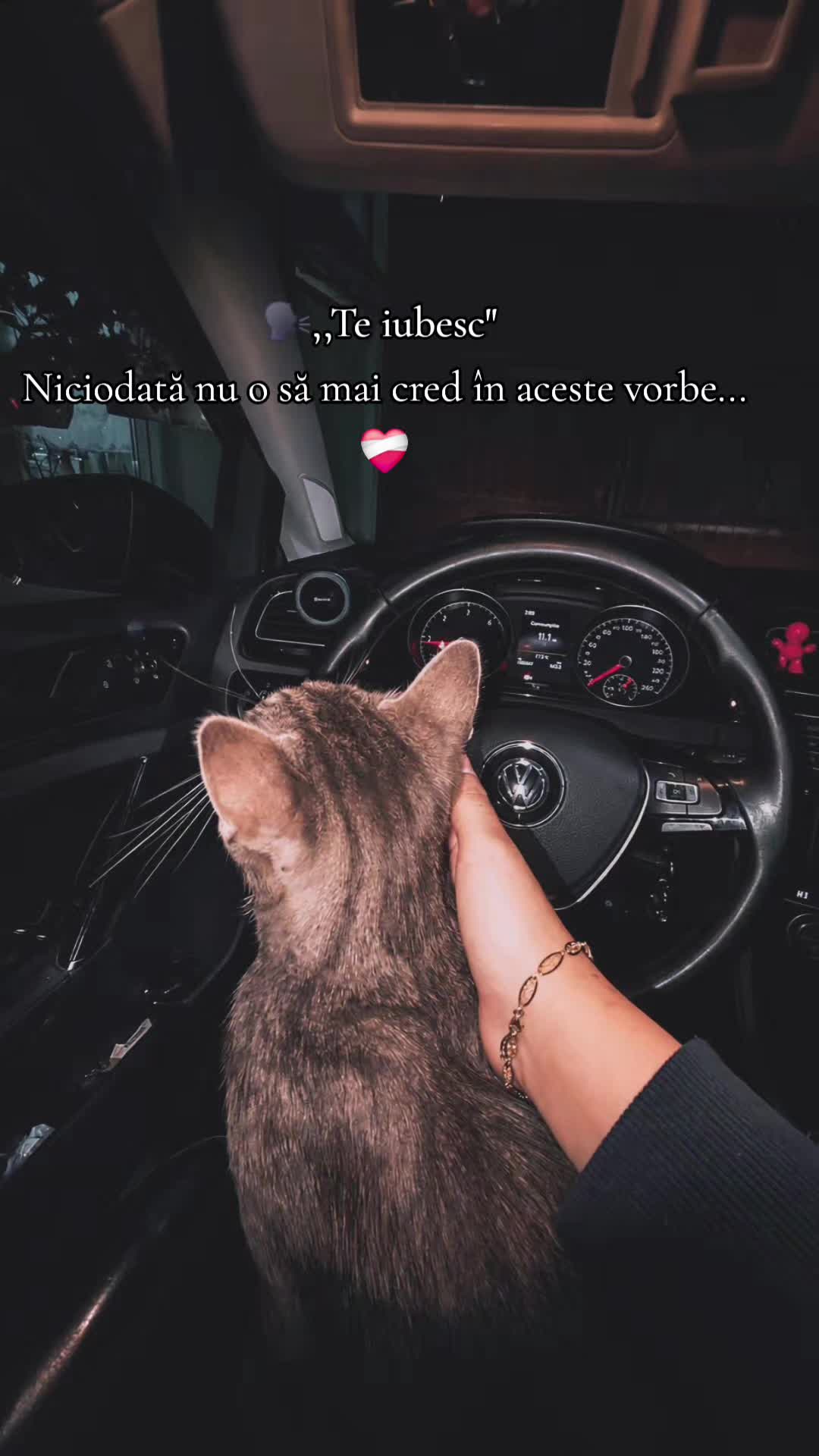 @❤️Aurelia ➡️HYX❤️