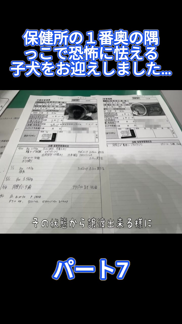 @ブルドッグぶるまるチャンネル Fan