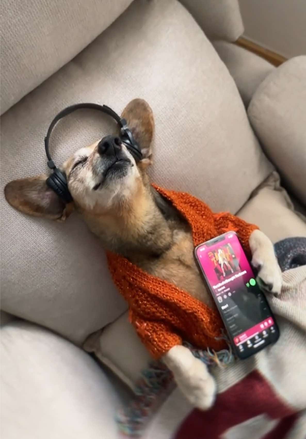 @Lucas The Dog