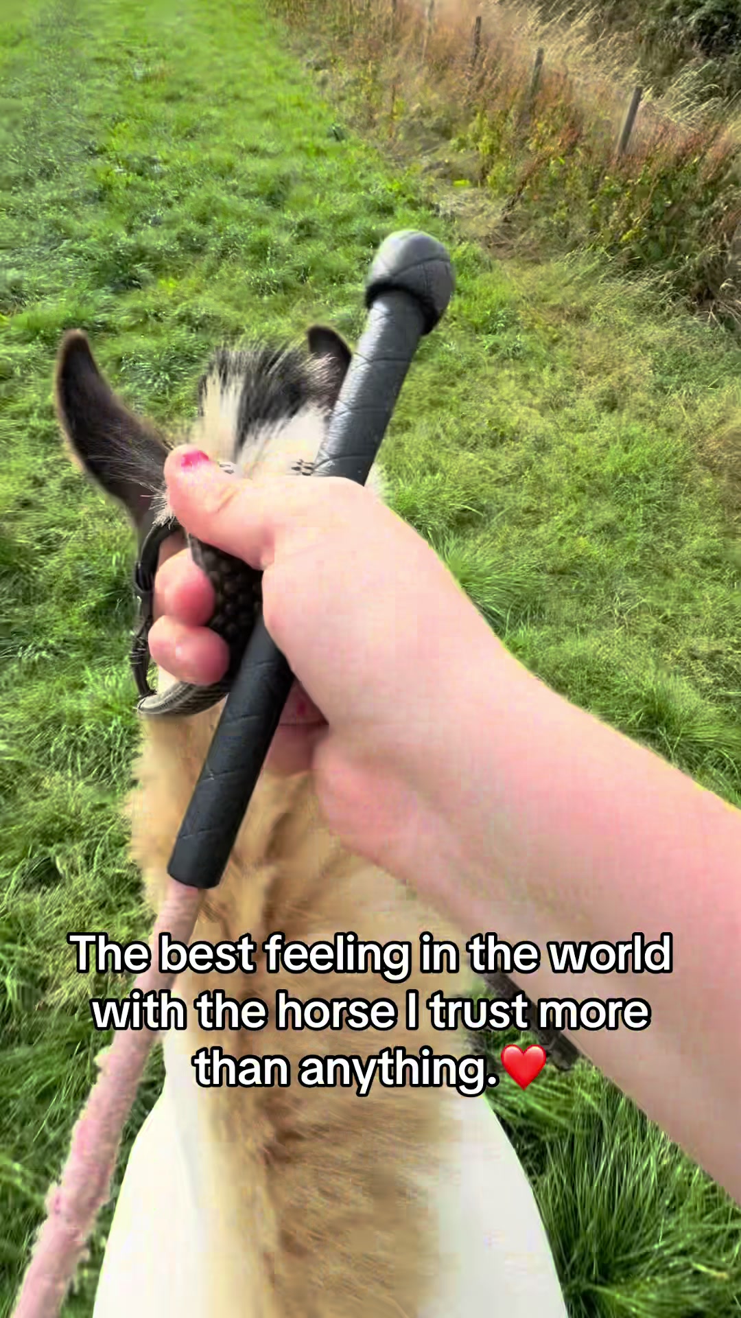 @Lilywiththecobs🐴