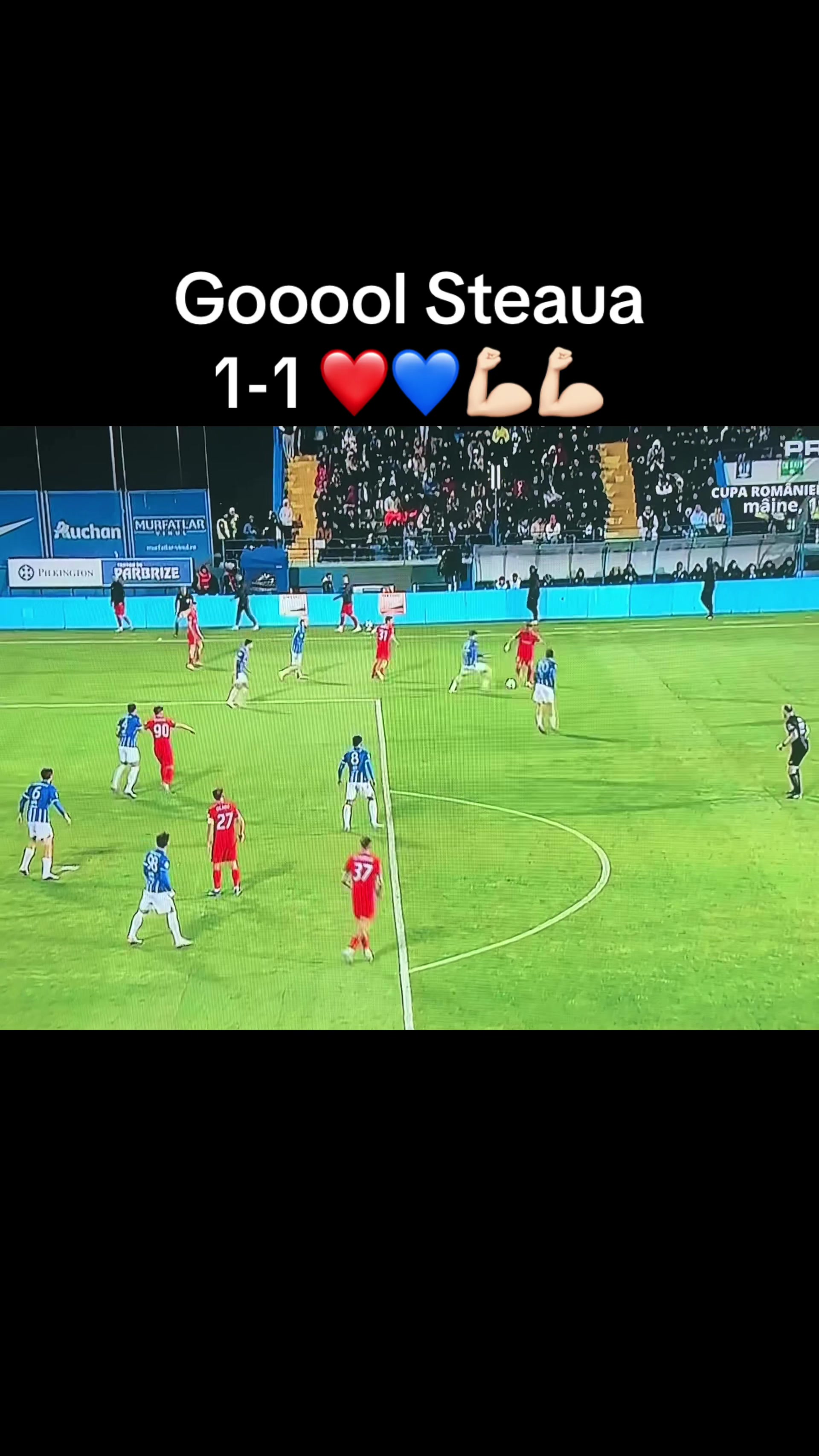 @Titi Bordei
