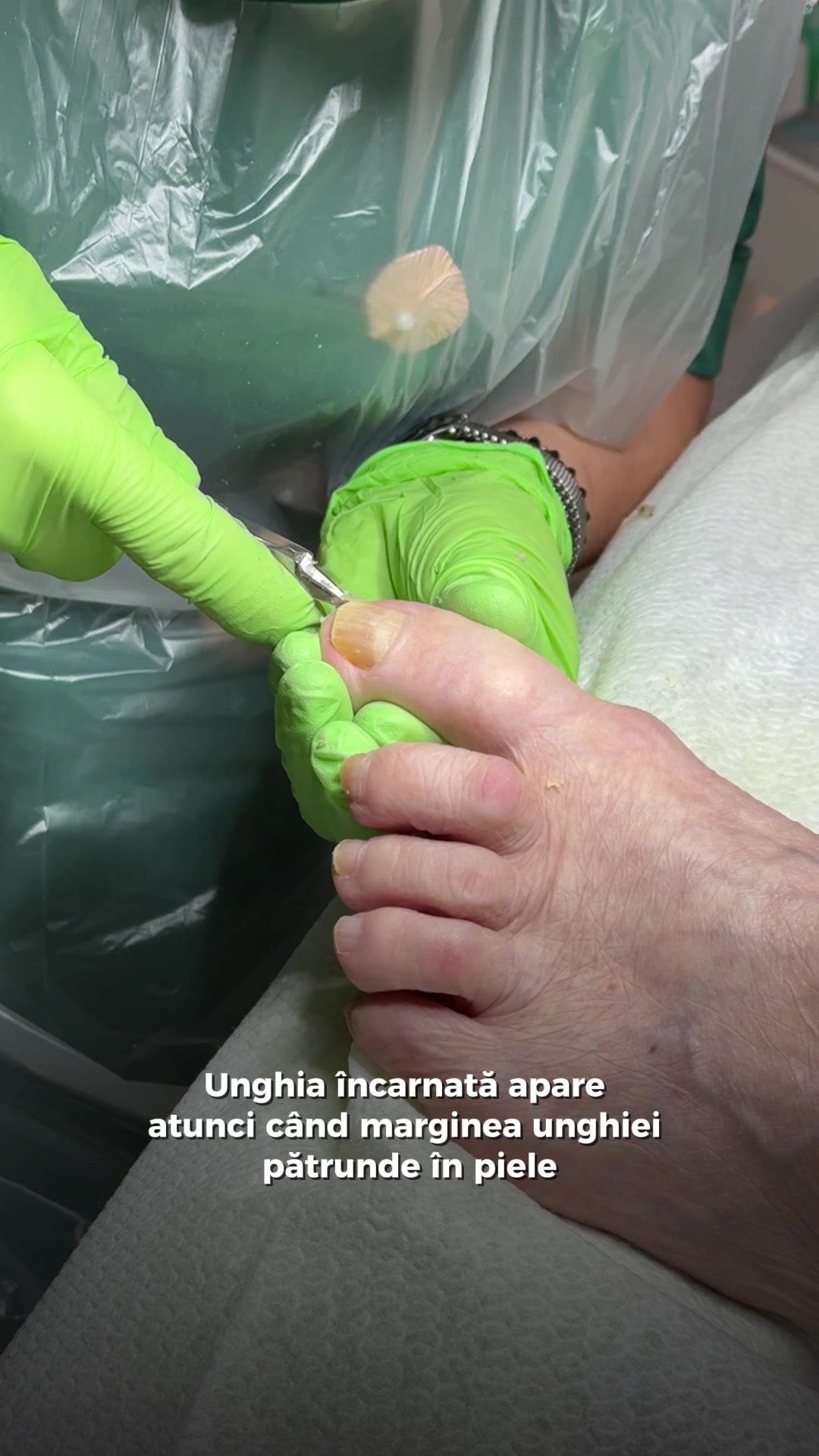 @Georgiana Irimin | Pedivital