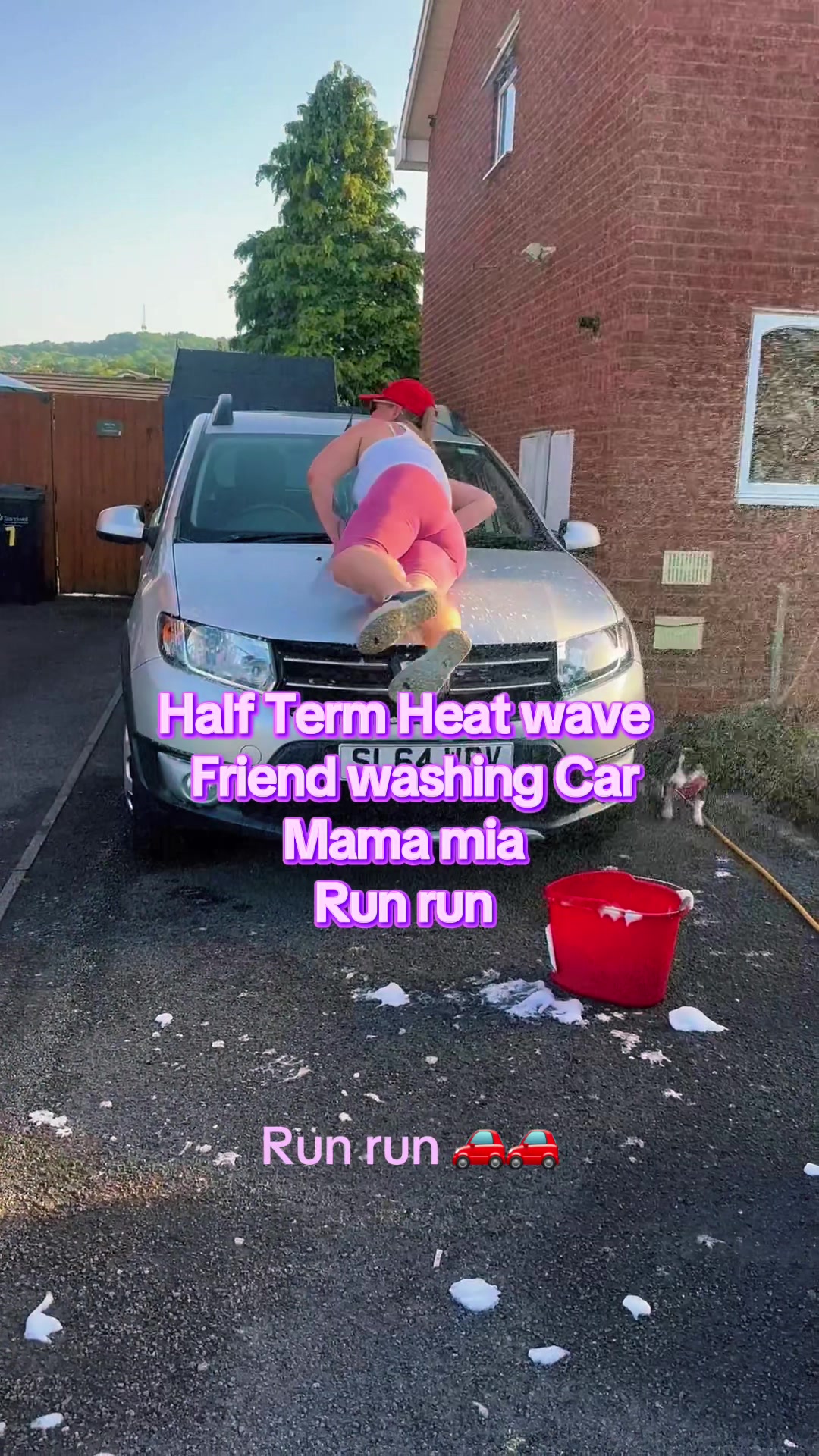 @RosaBahiaLTD