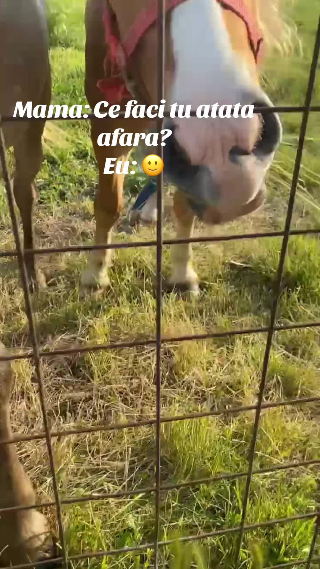@𝐿𝑜𝑟𝑒💗