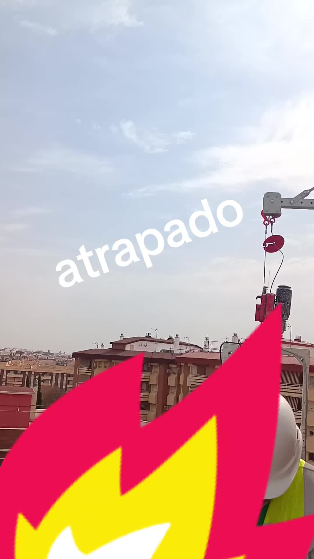 @gallos e trabajo