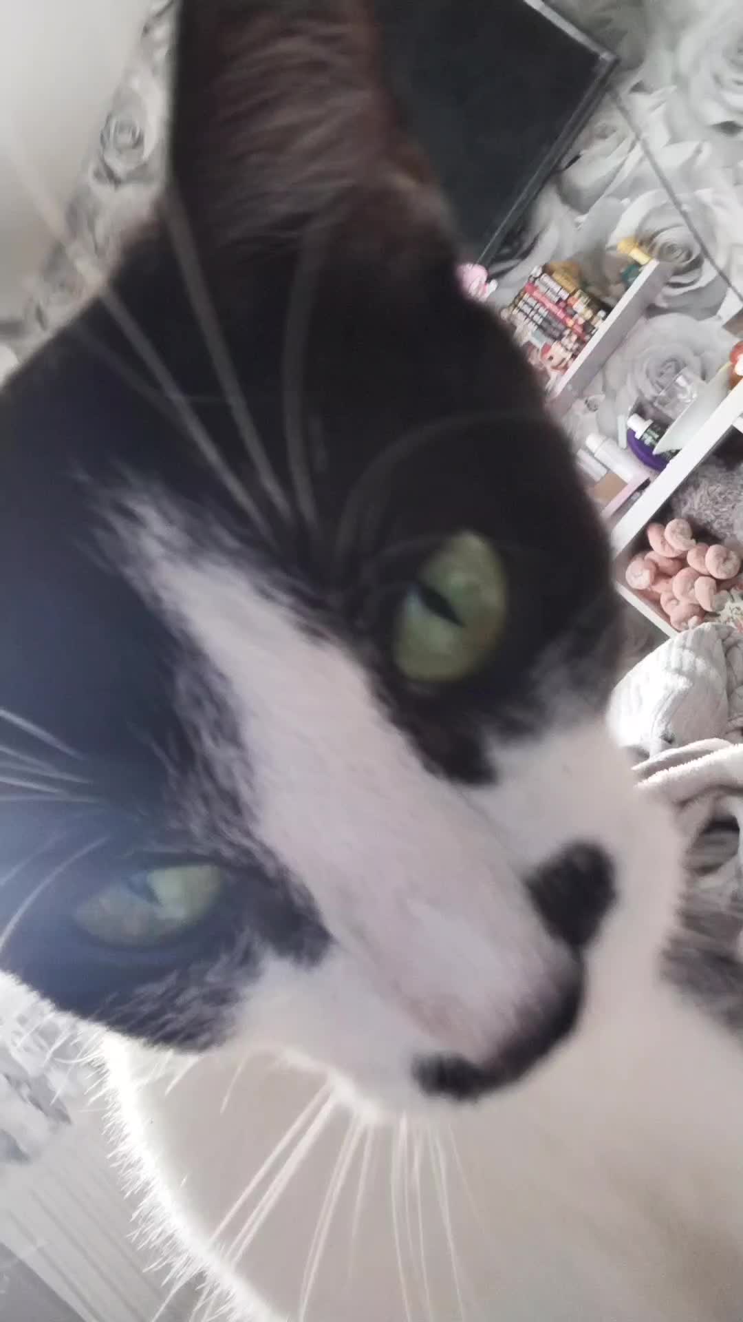 @โ