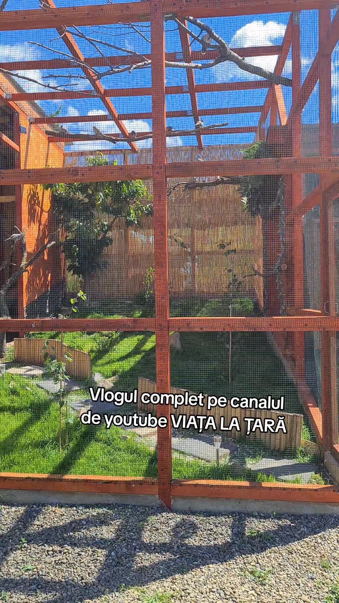 @Bogdan Hriscu