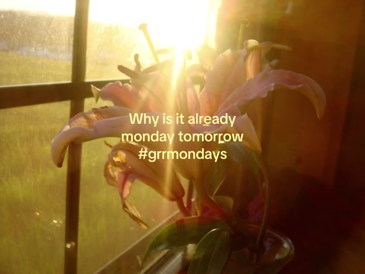 @⊹ ࣪ ˖ ໒꒱