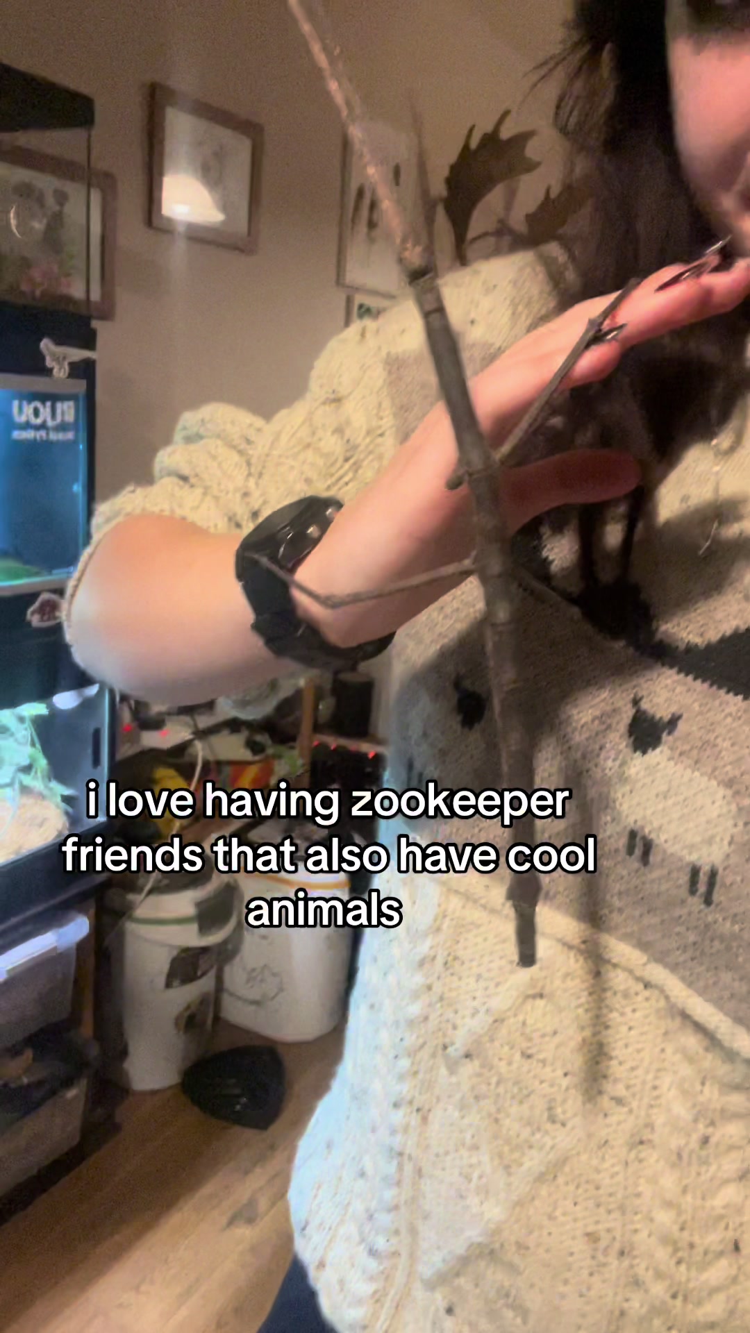 @Chloe Parker