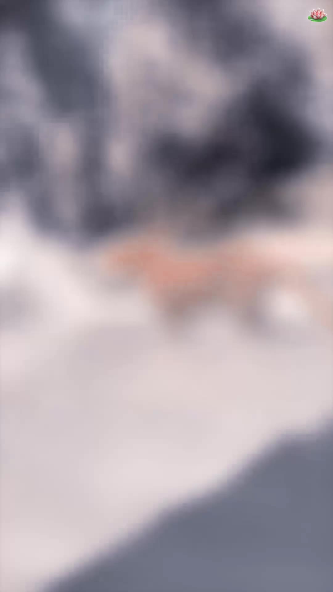 @˖˚៹✦ 𝐍𝐨𝐞!🪷 ˖ ࣪⤾