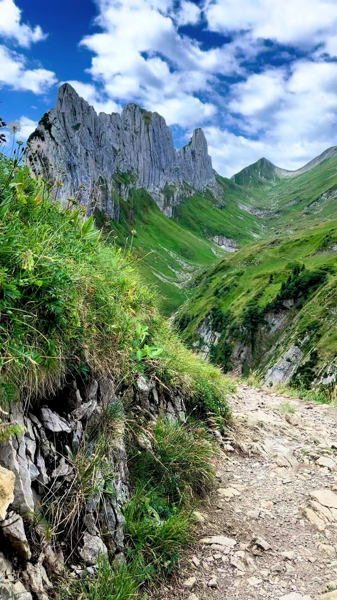 @Swiss_Vibe 🇨🇭