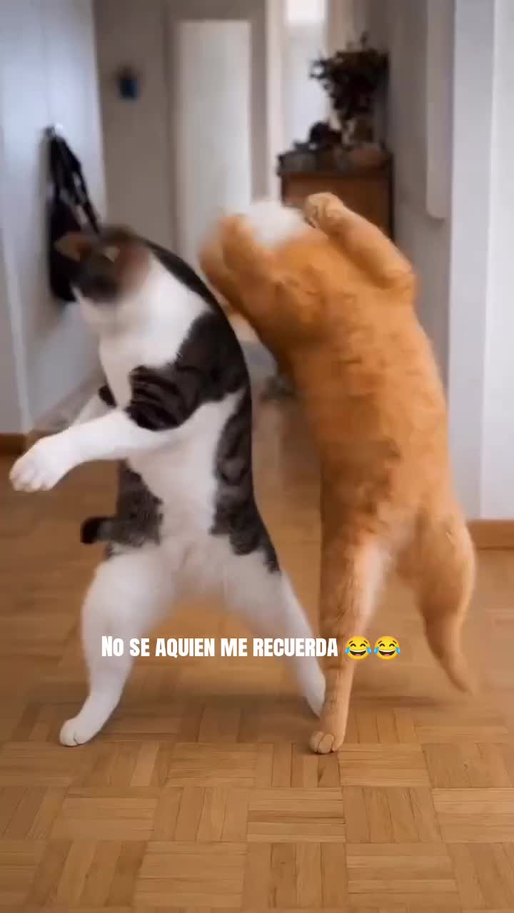 @A