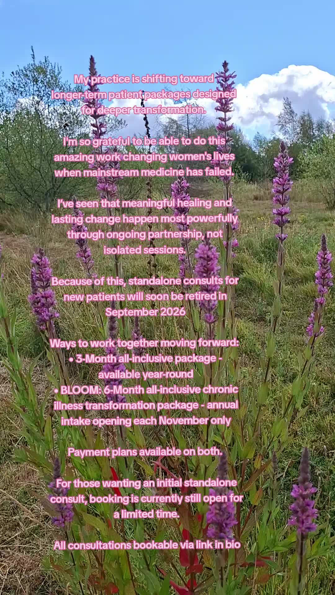 @HomesteadHerbal