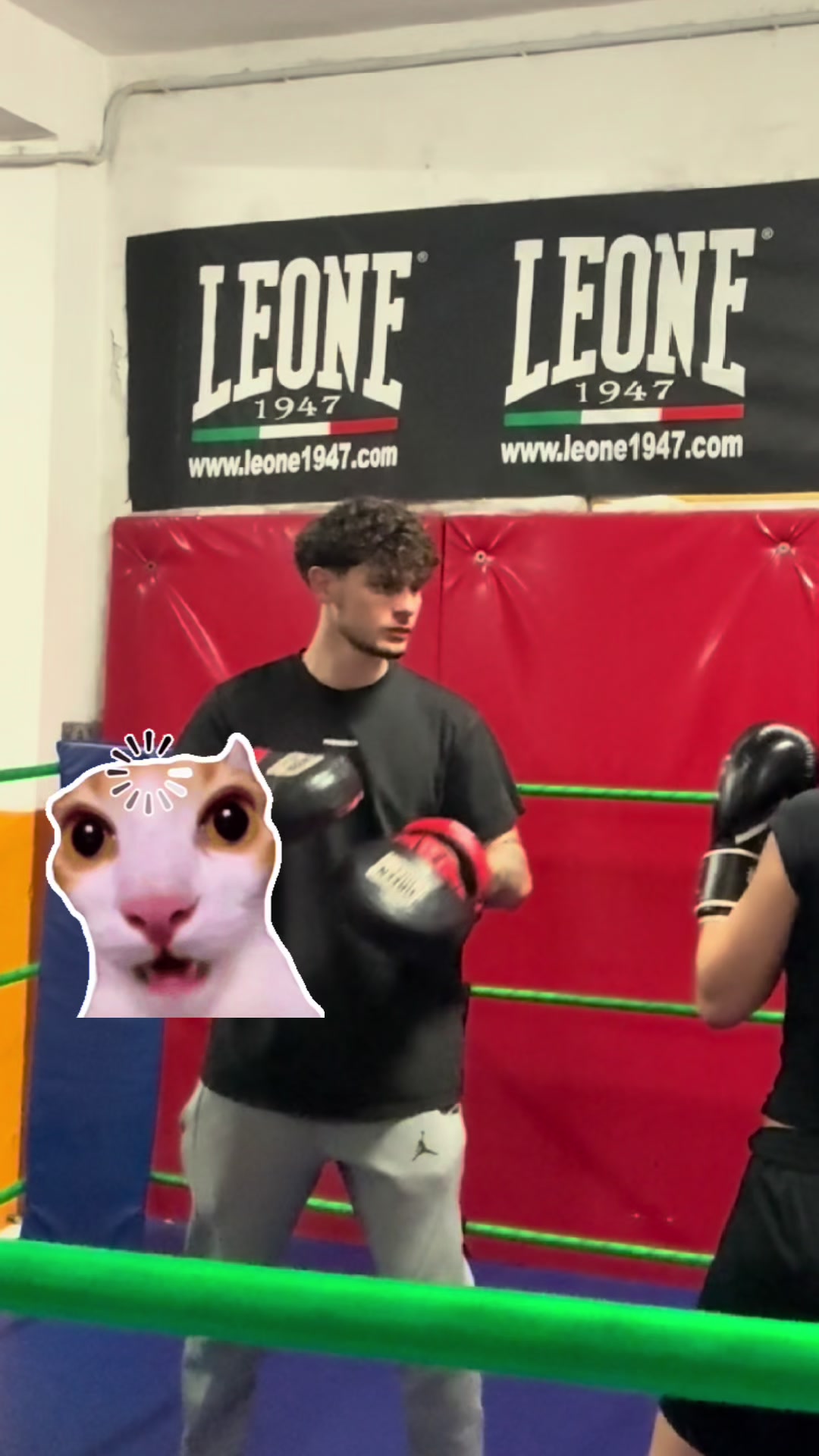 @anna lanzalotti