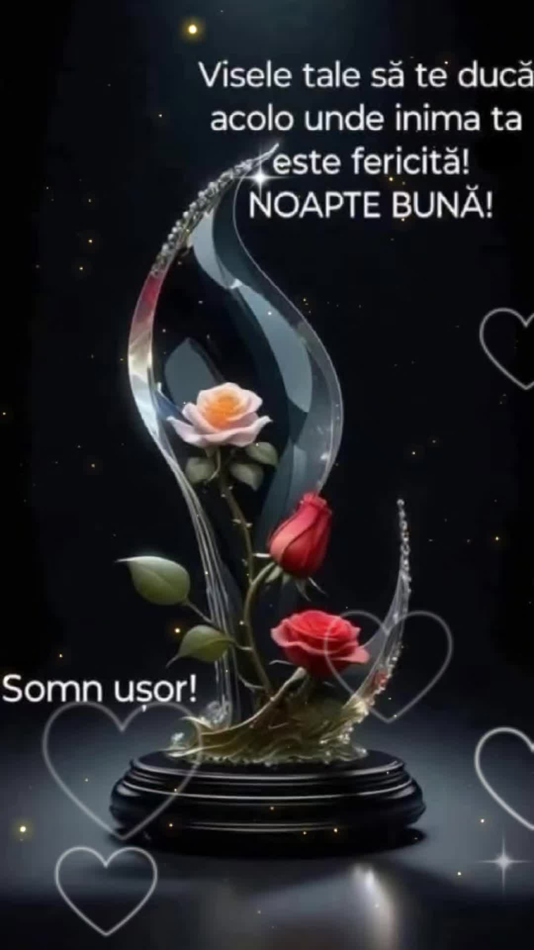 @Sandu Bucur