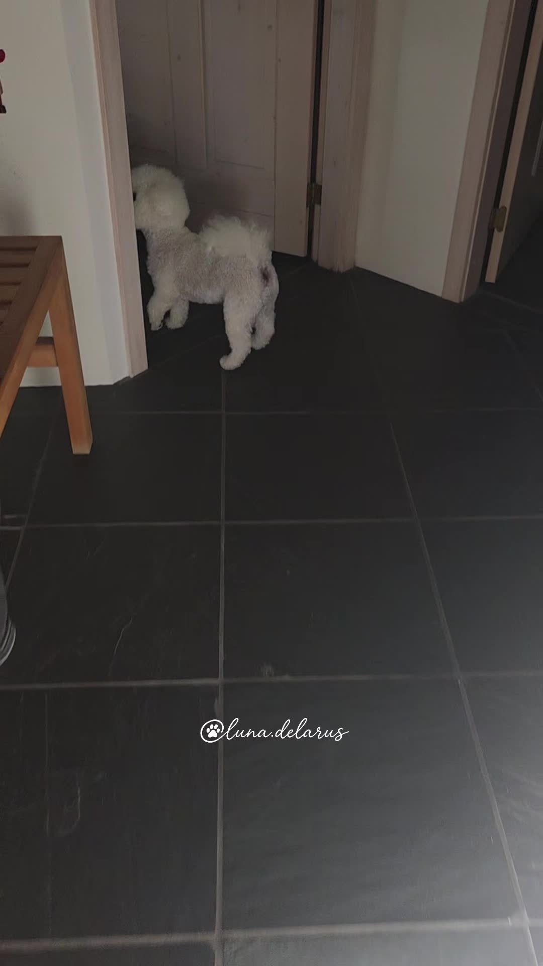 @Luna