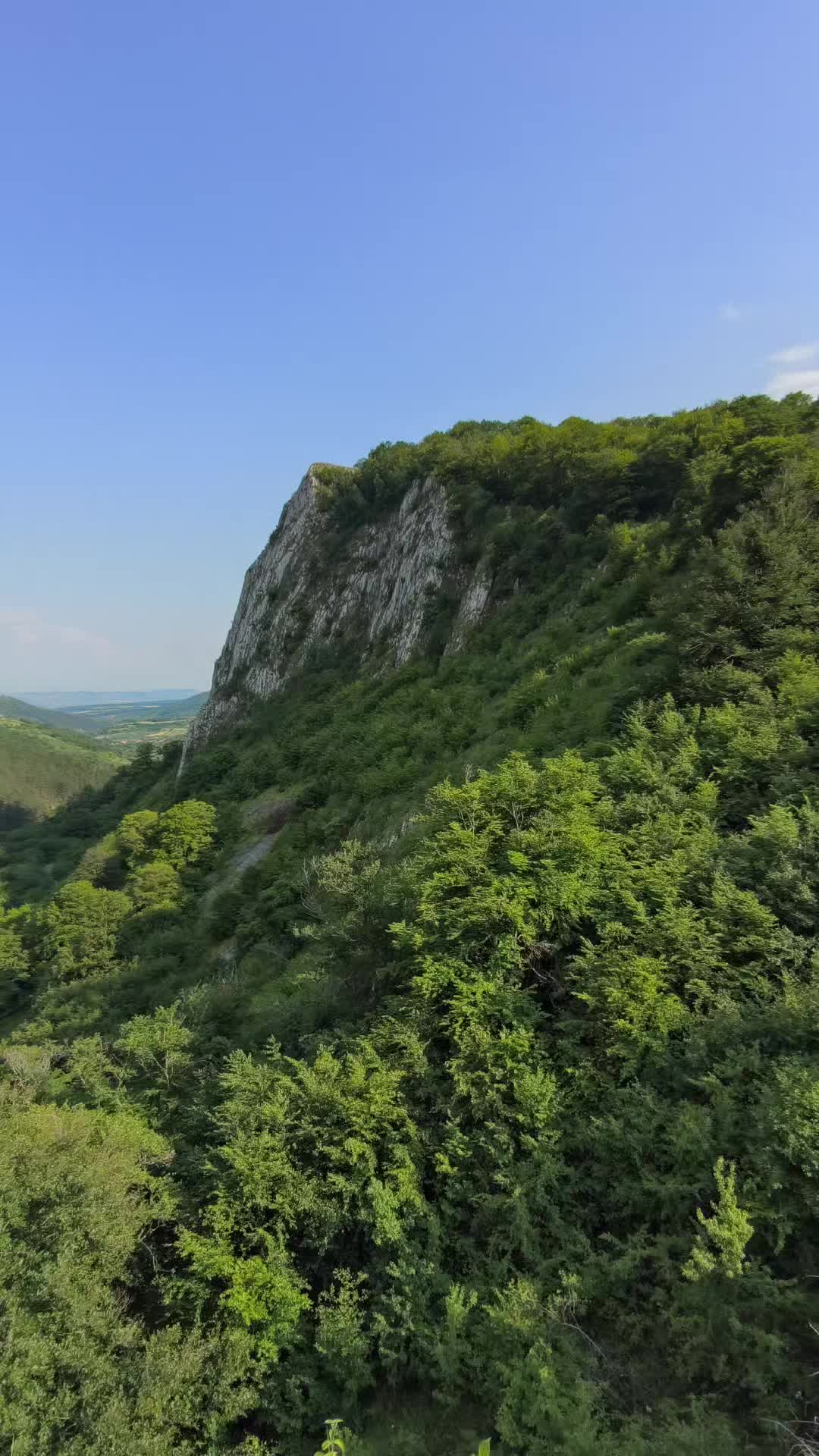 @Vasi Urcan