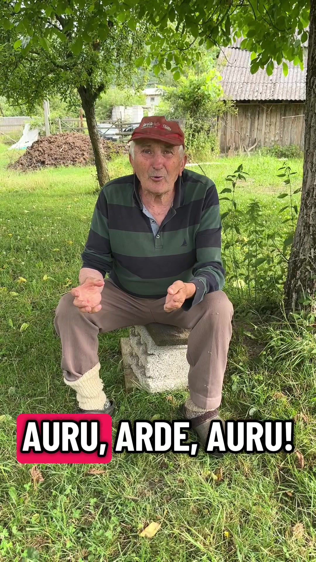 @Petruța Andrei Nicolae