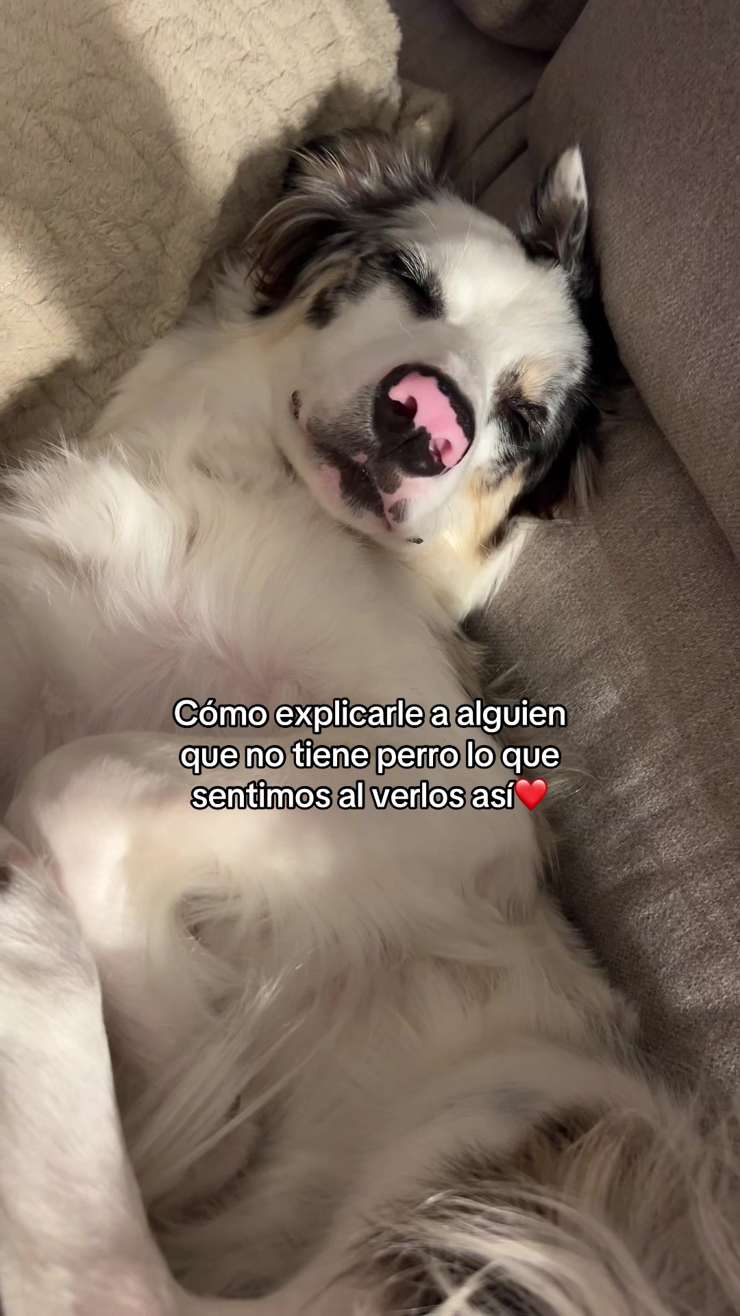 @Ares y Aura