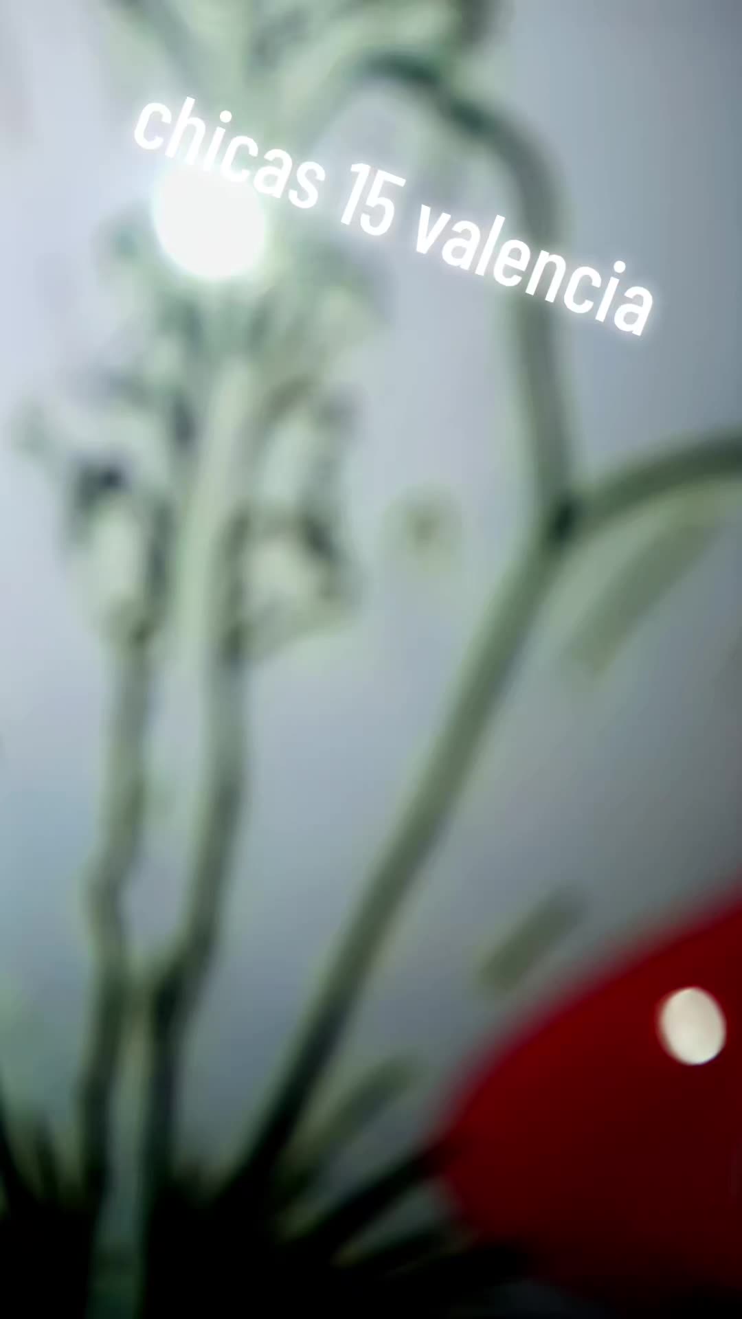@whitenails16