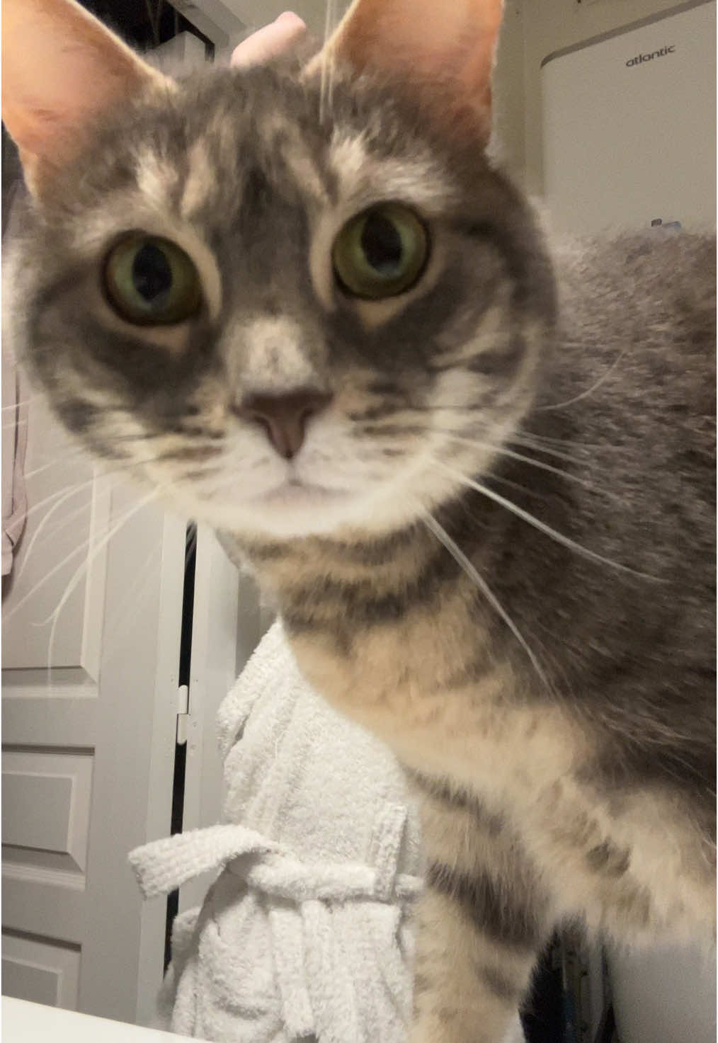 @Le_drama.cat 🇫🇷