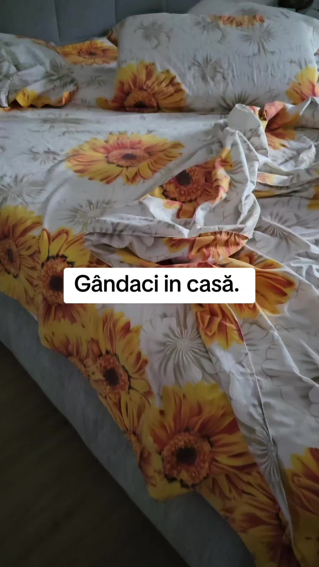 @Emilia Adriana Emy