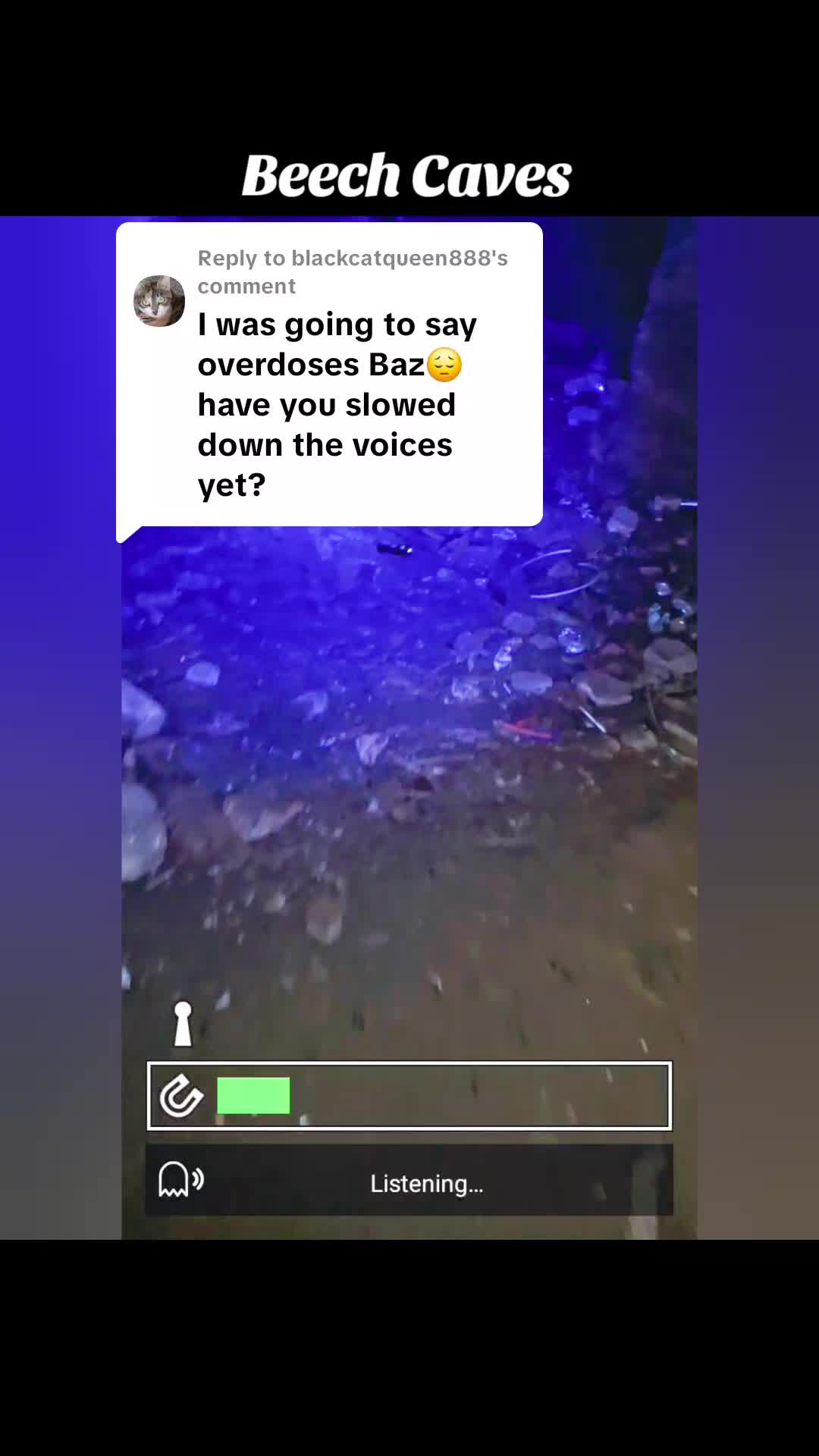 @bazzilbrush
