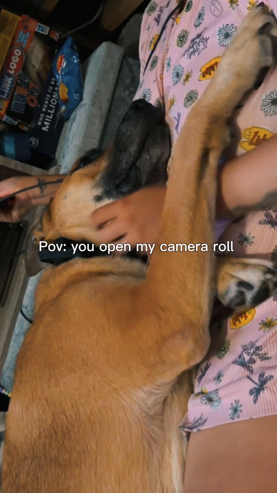 @Jax’s_ adventures