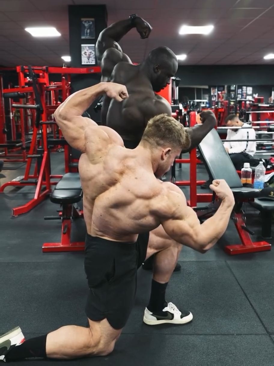 @Aesthetics