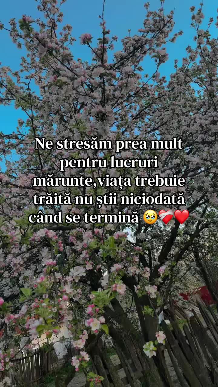 @💙Mădălina Elias💙
