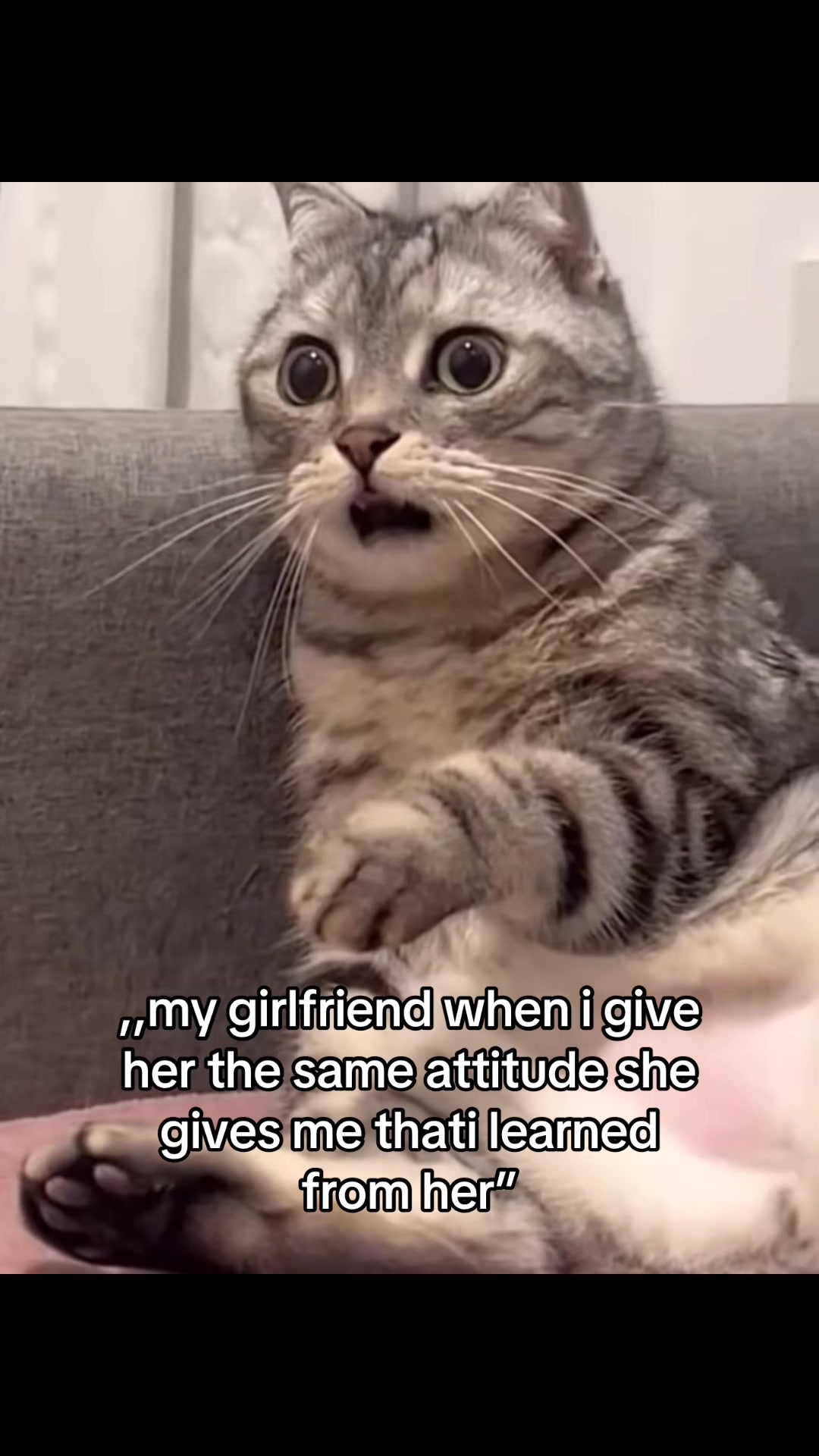 @𝒞𝑜𝒹𝓇𝒾𝓃