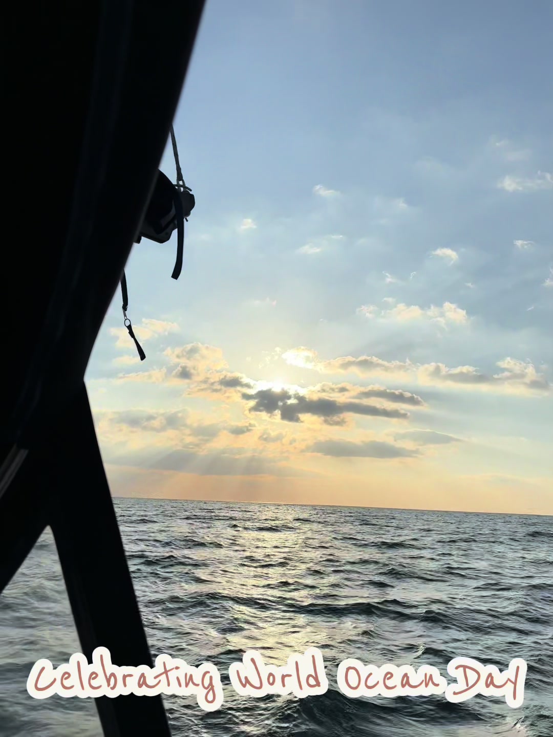 @BoatVet