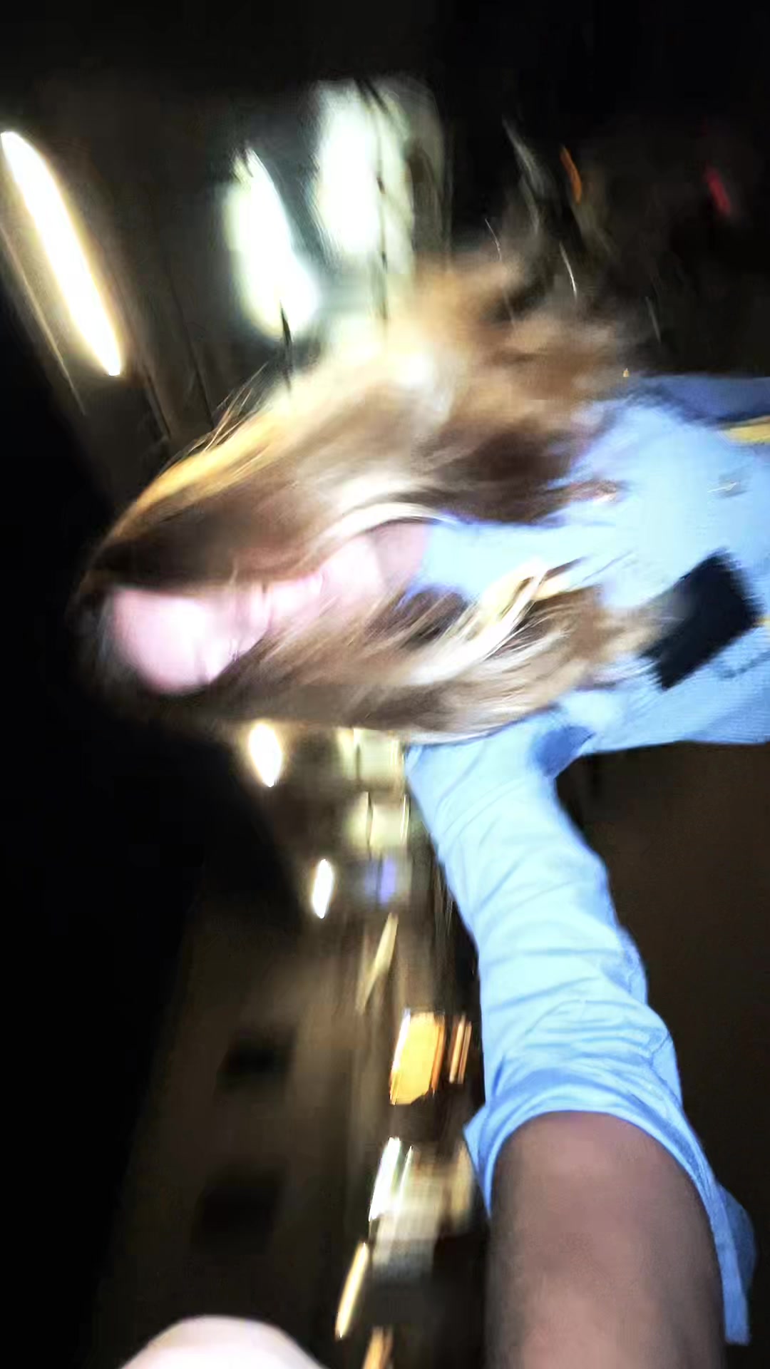 @sophiaalyagroznaya