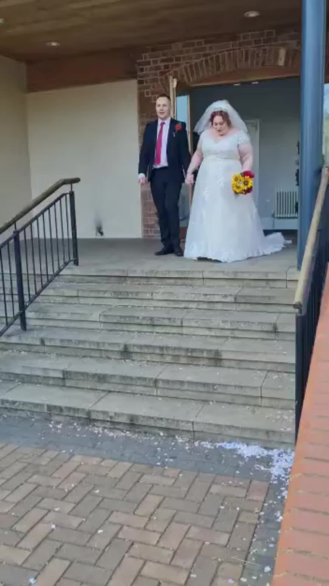 @mrhyperviper