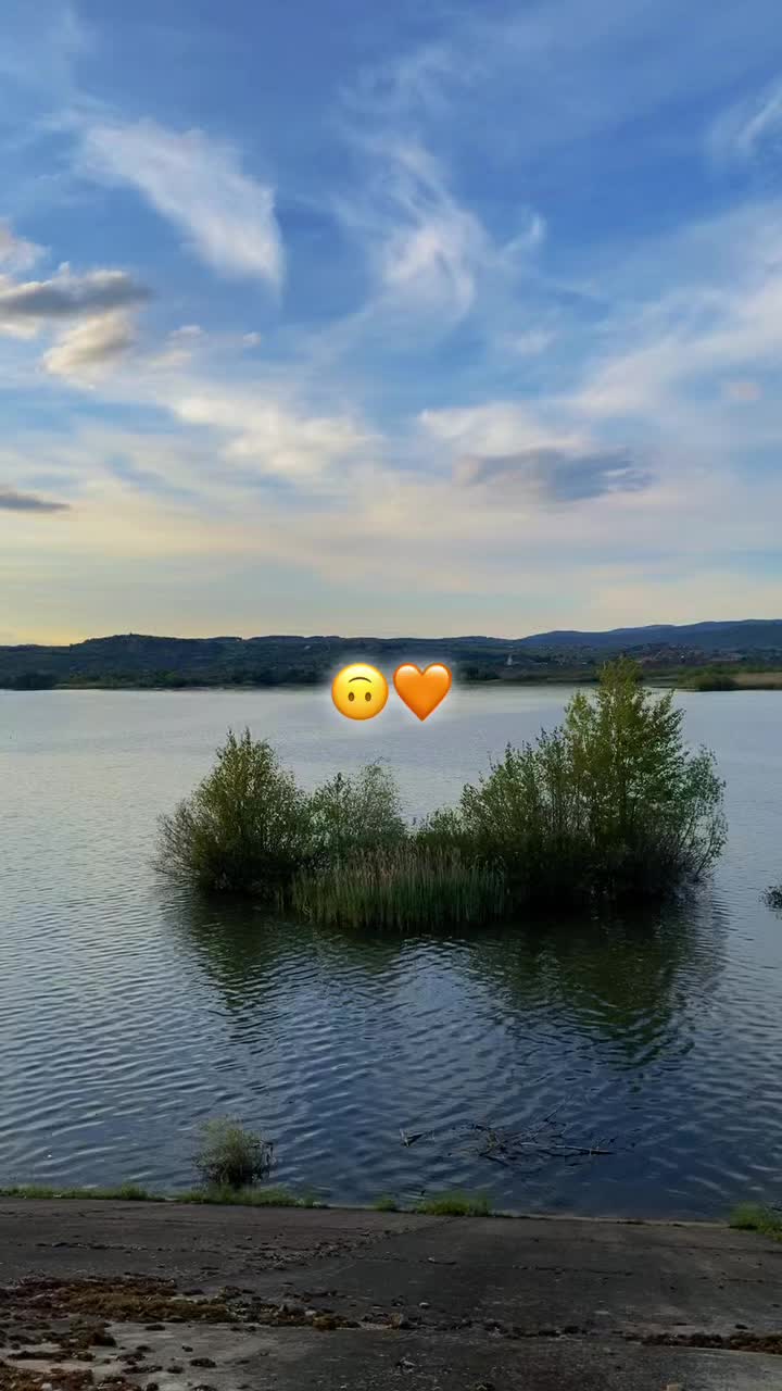 @arabela.__.x.y.1