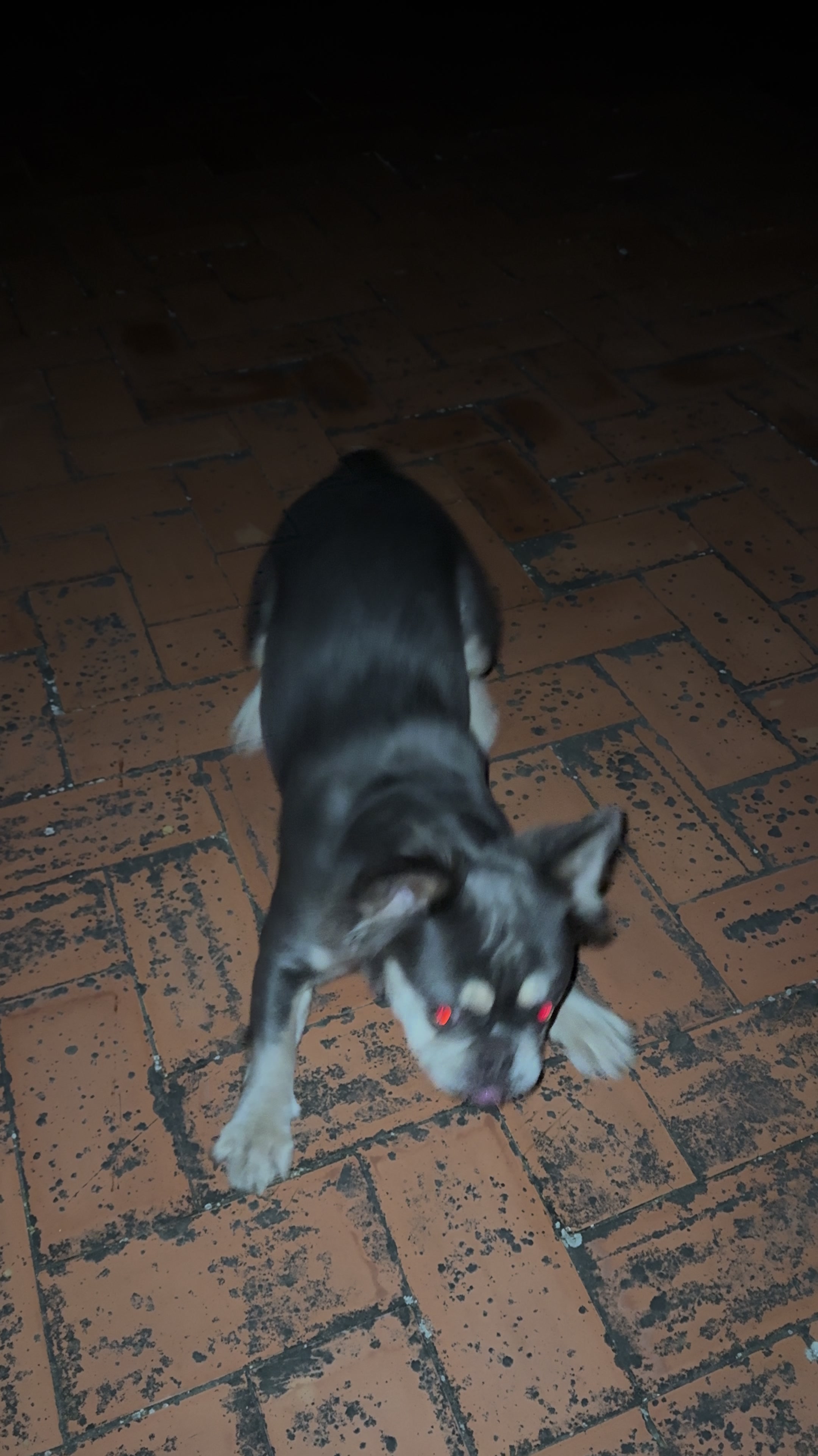 @Cazador de momias