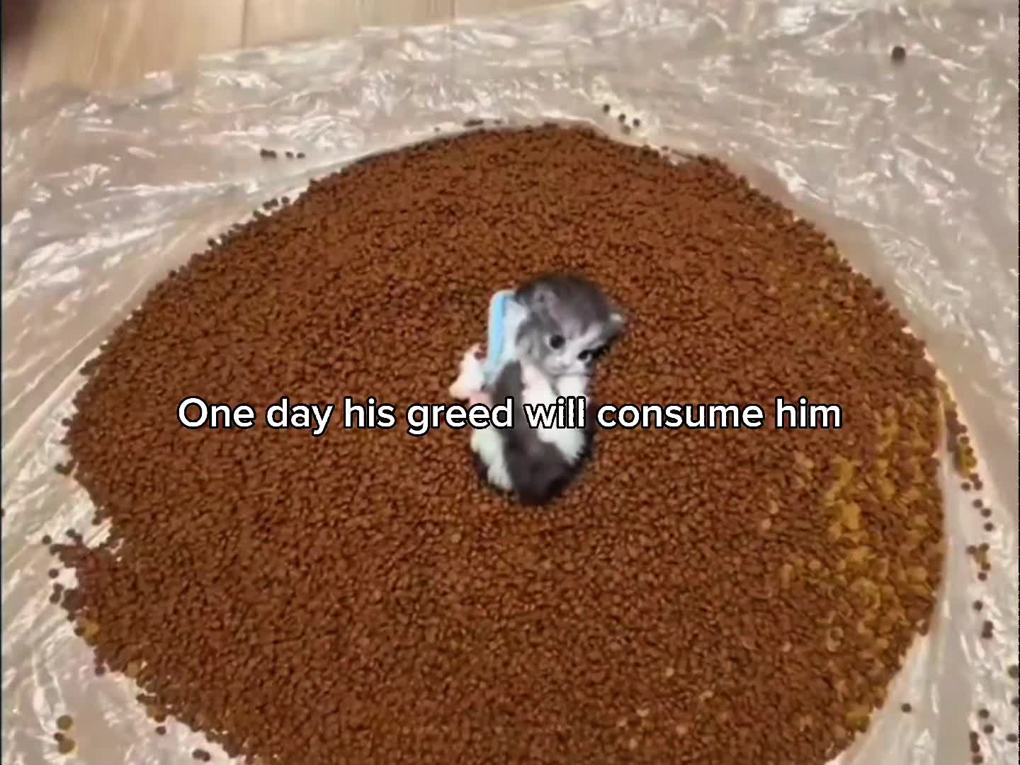 @Bro💀