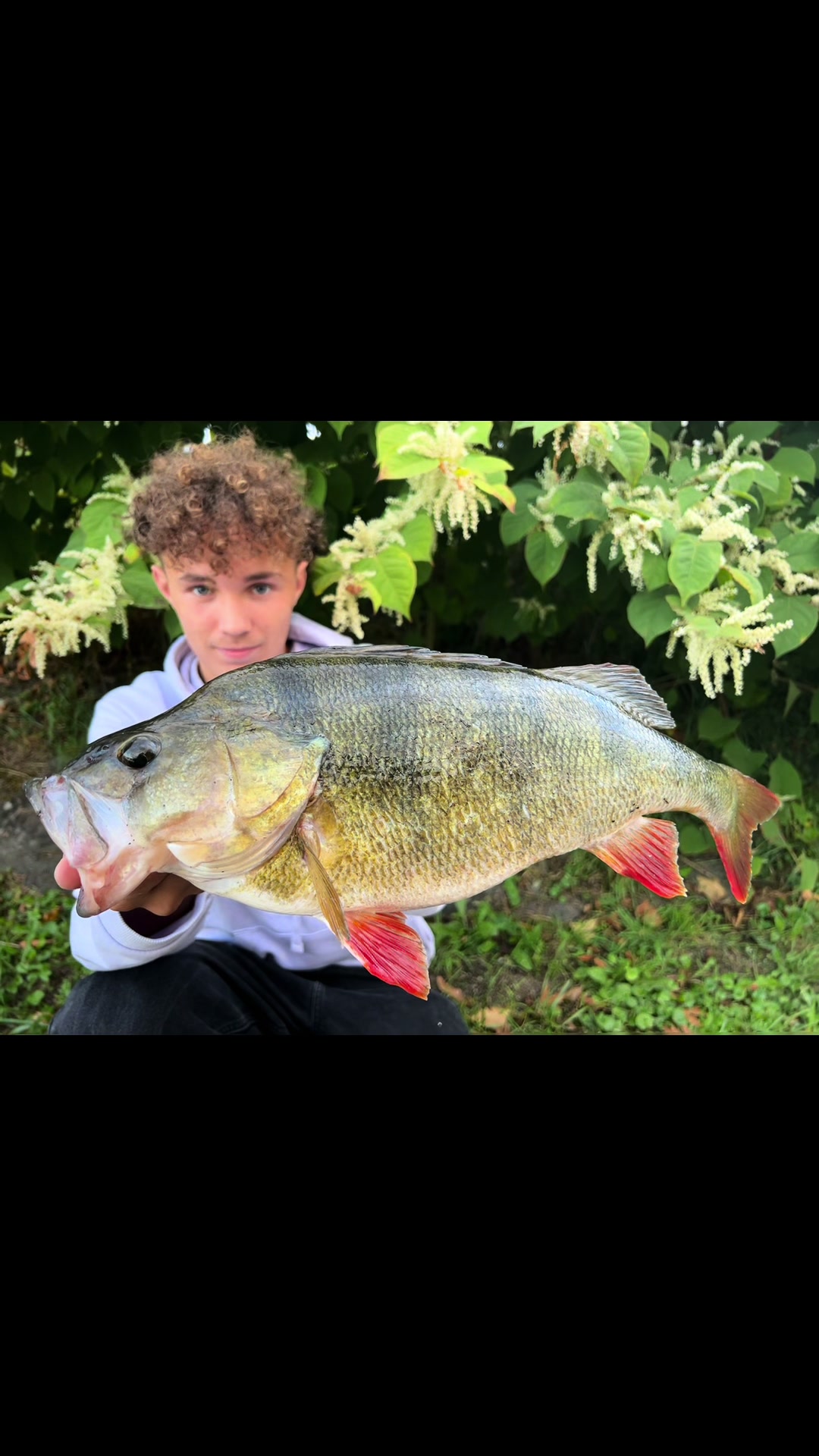 @le0_fishing