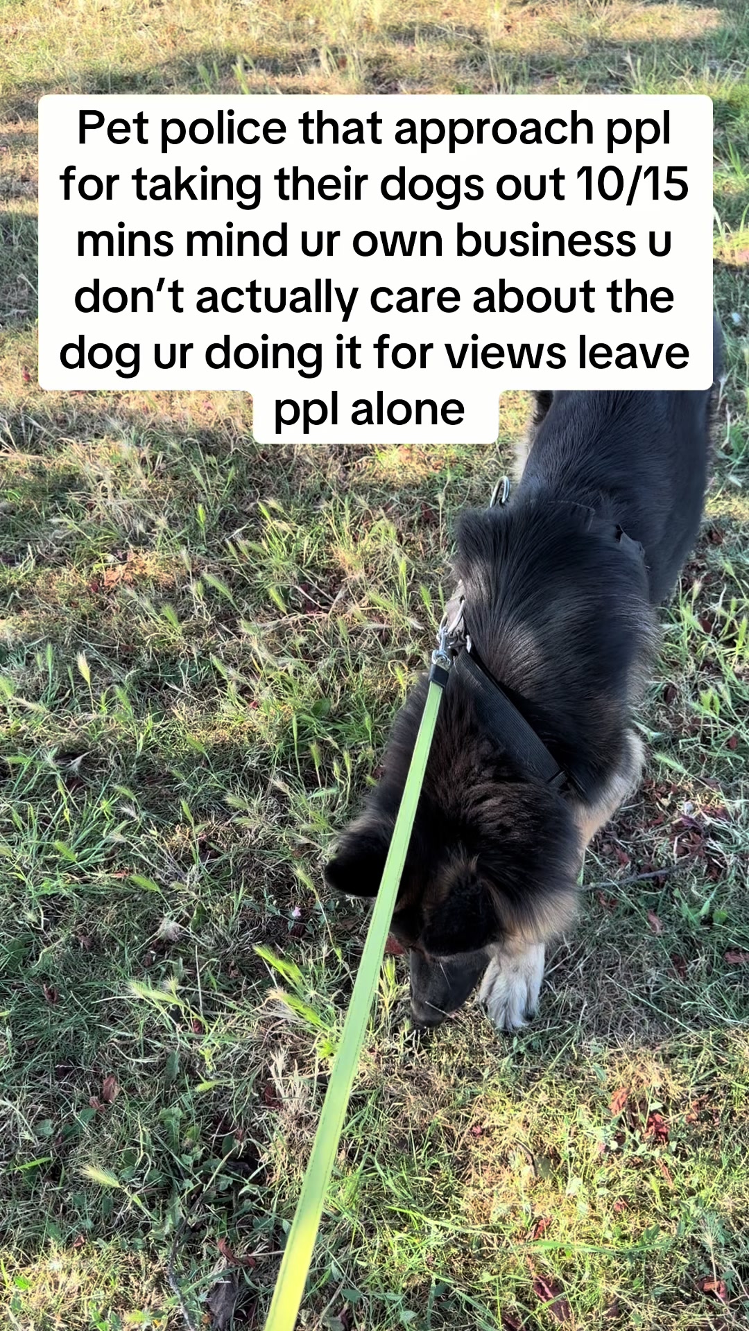 @Not here for long