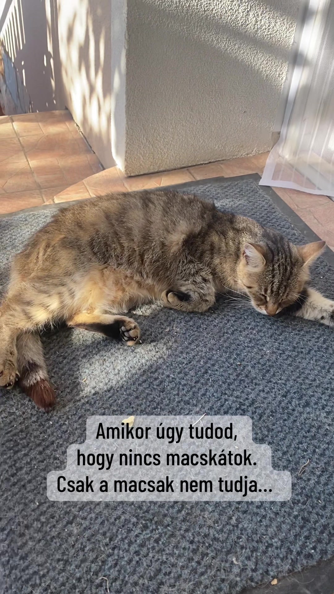 @Aktívan kutyával