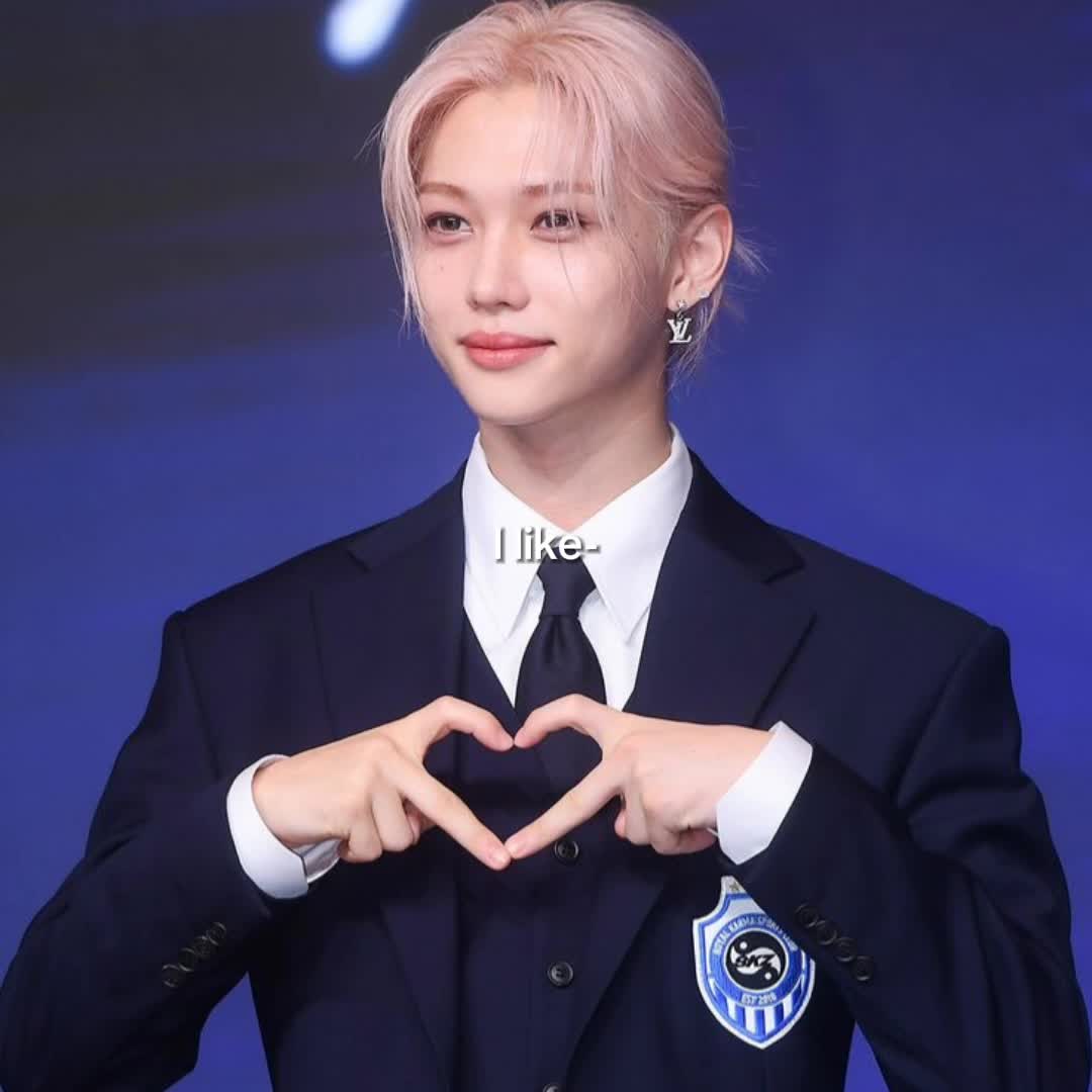 @Straykids Fan