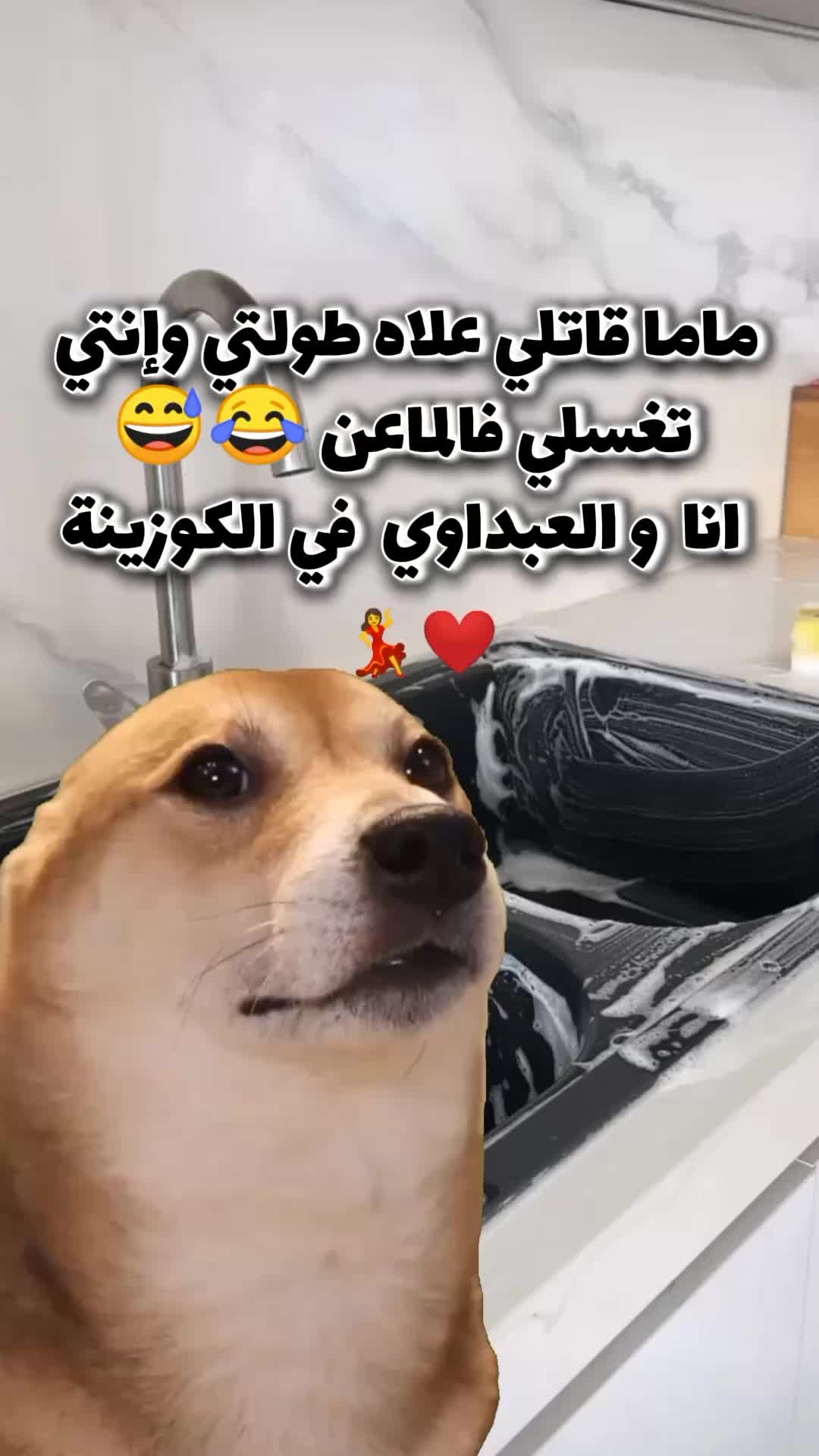 @Koko.Am05