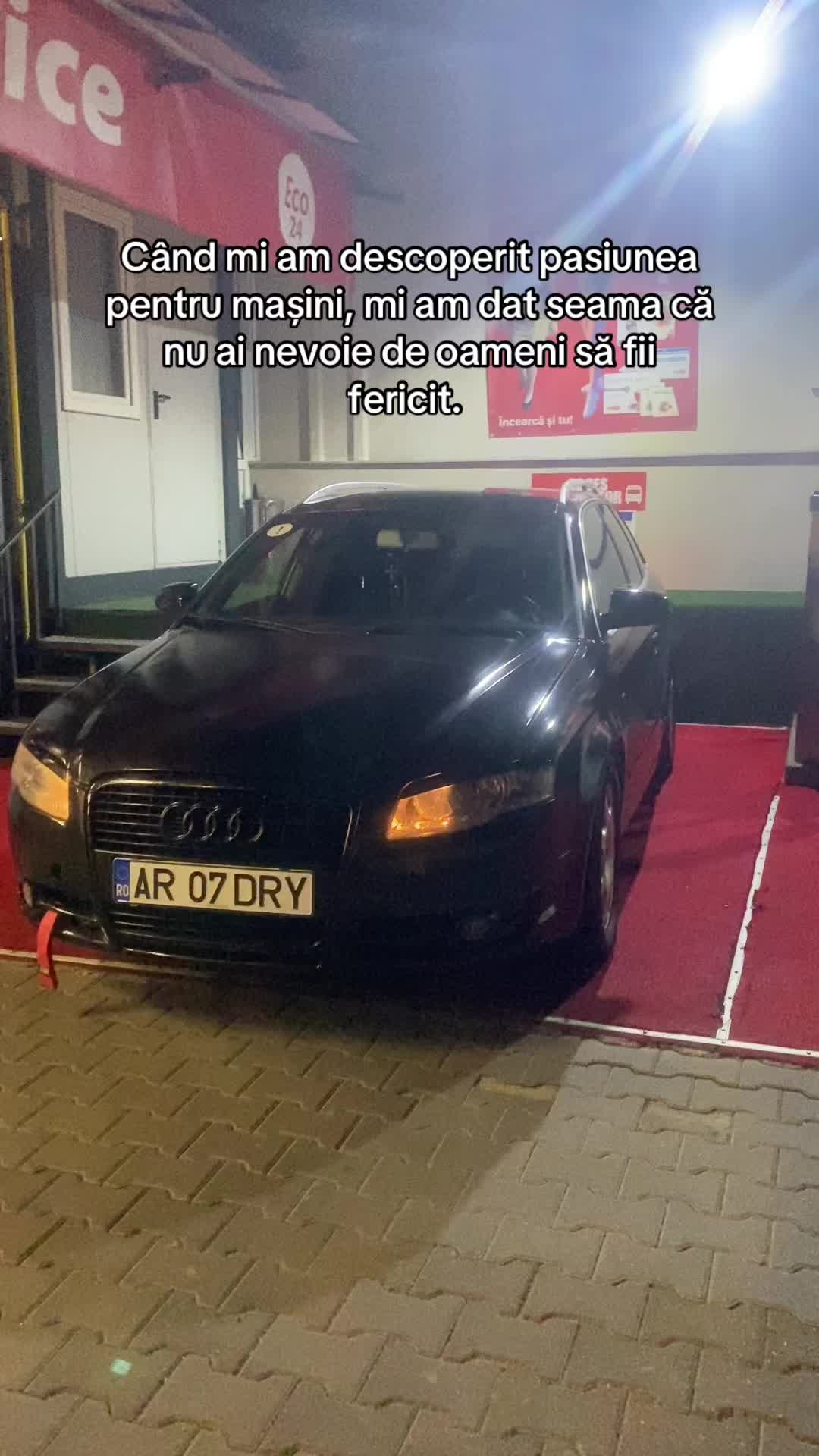 @dori trif
