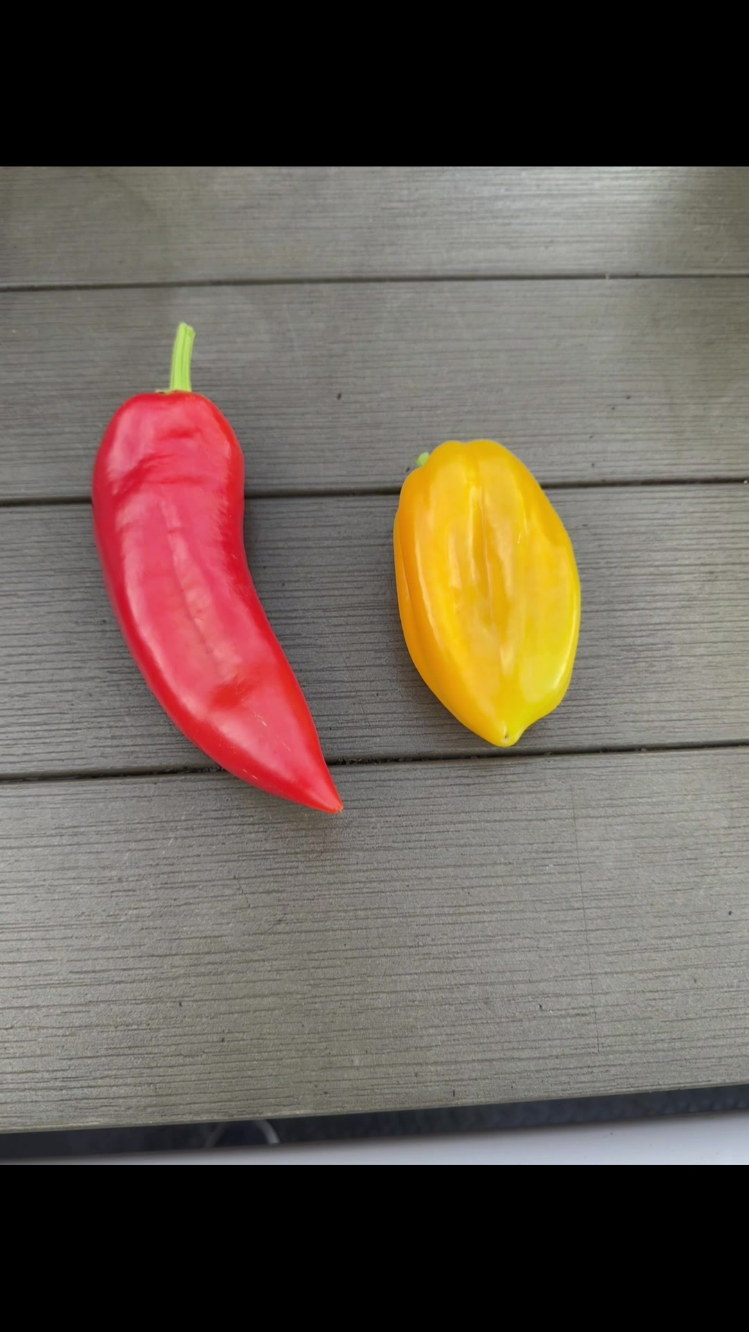 @grandadgreenhouse